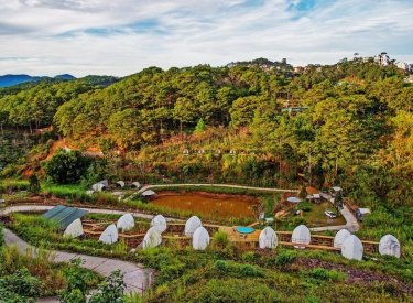 Glamping Đồi Thông – View Bình Minh – Lều 3 Người