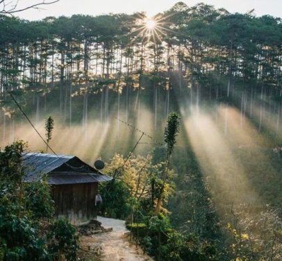 ĐÀ LẠT THIÊN NHIÊN