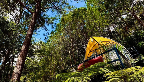 GLAMPING